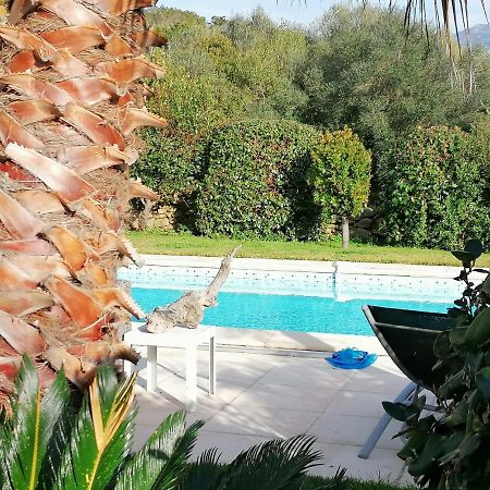 Studio 5Min Plage Agosta Albitreccia ภายนอก รูปภาพ